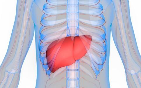 肝病患者每天要吃这些食物