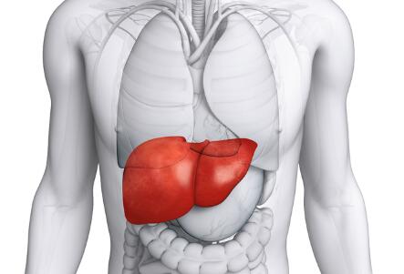 中年人怎么养肝