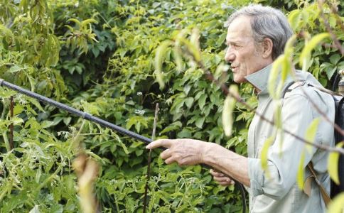 白叟膝盖发软怎么办