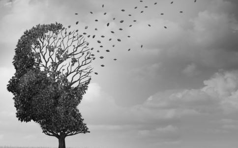 研讨发现人多反而难成事