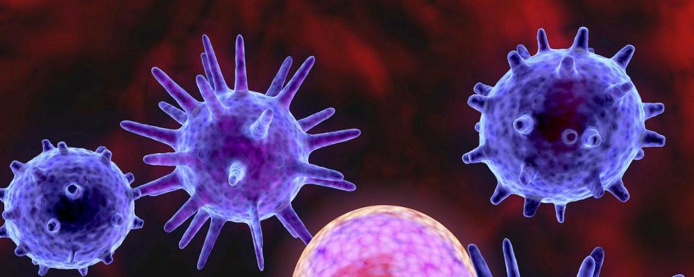 长春花仙人掌秋水仙 哪些常见植物能抗癌