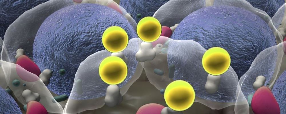 防备肠癌吃什么