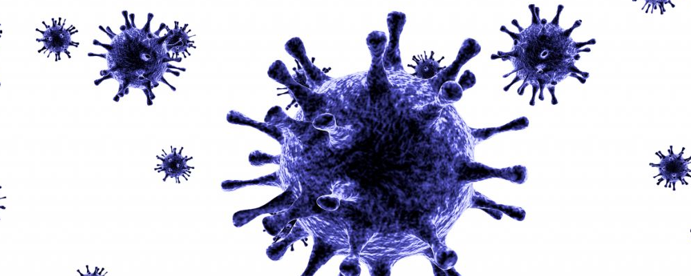 合理饮食抗癌 14种食物防癌