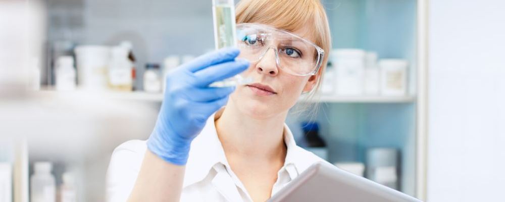 抗癌中草药乌蔹莓