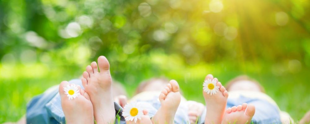 红豆养分好 冬天吃红豆四大优点