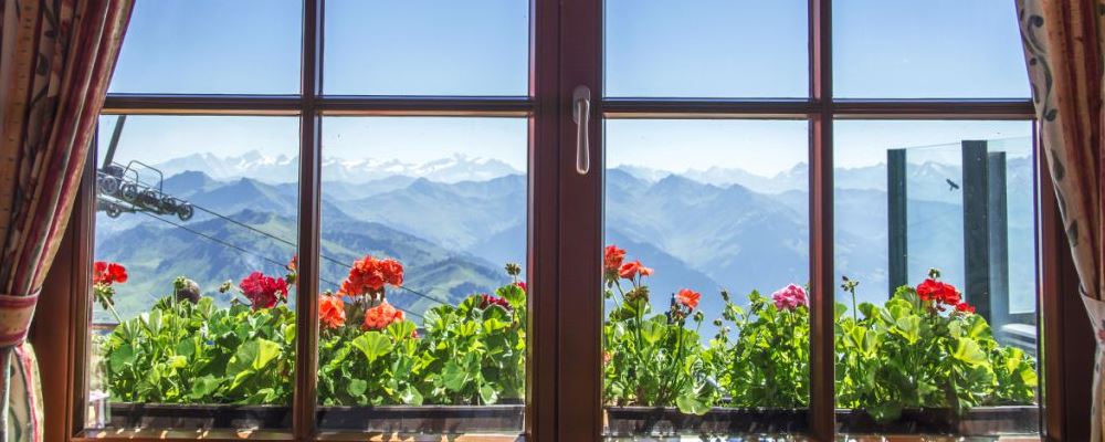 摄生润泽 合适秋冬吃的6大生果