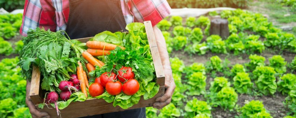 秋季摄生吃红豆的优点及食谱引荐