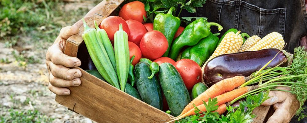 怎么进补 冬天进补的八大准则