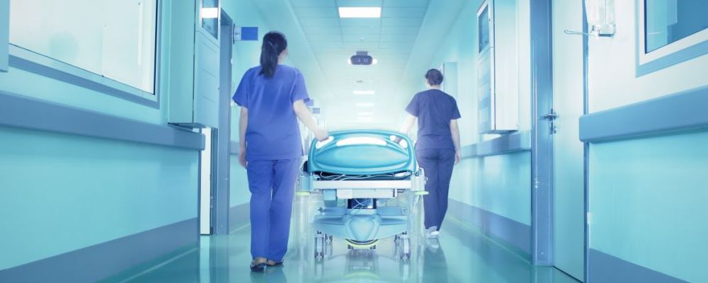 秋季防备肿瘤的八大食物