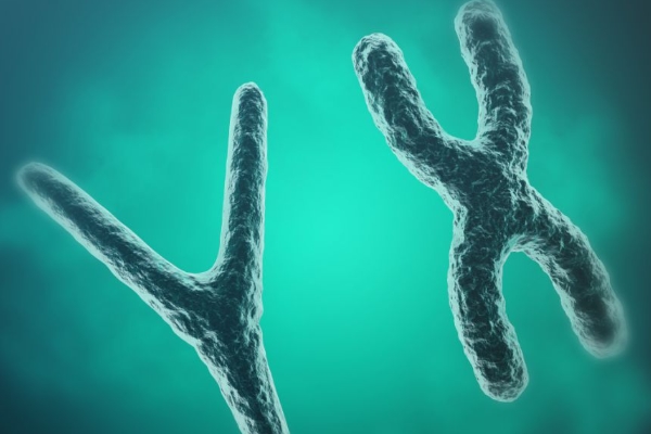 吃啥怀女儿几率大一点 怎样调酸性体质生女儿