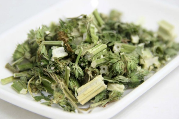 想流产但不想去医院 益母草流产的正确办法