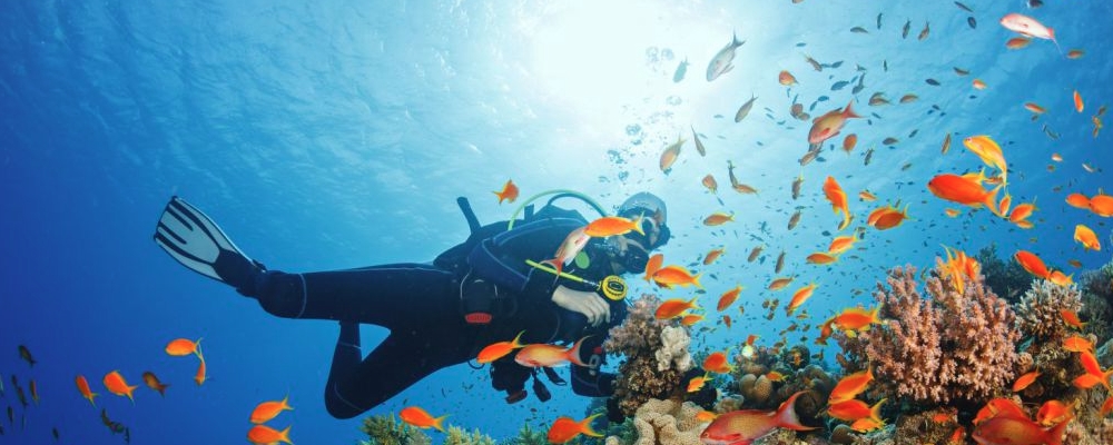 女孩属龙缺水取什么名字好 属龙带水的好名字大全