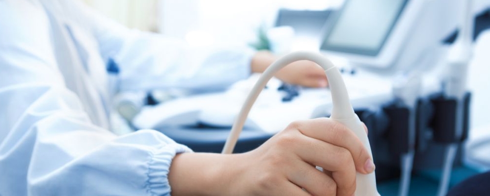 小排畸心脏二尖瓣少数反流怎么办