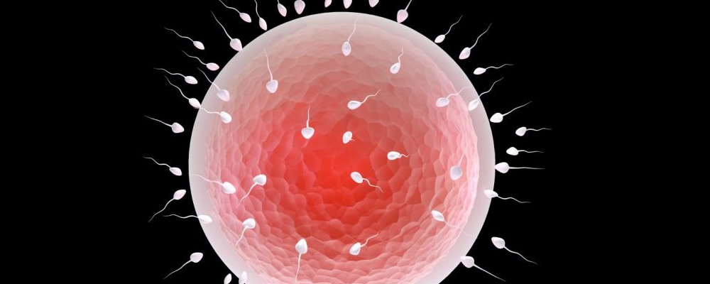 有什么药吃了只排Y精子？人工授精能够分出x和y吗？只要一种办法能够