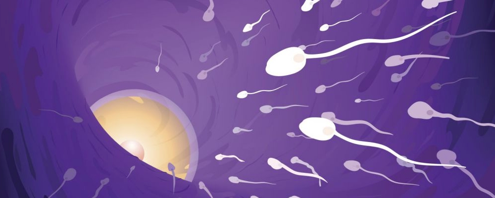 怎样知道精子有没有进入输卵管