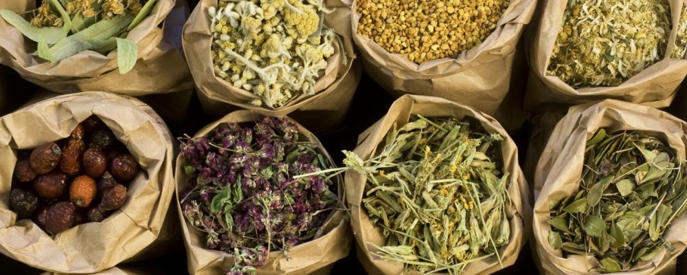 广金钱草的成效与效果 广金钱草能够泡水喝吗