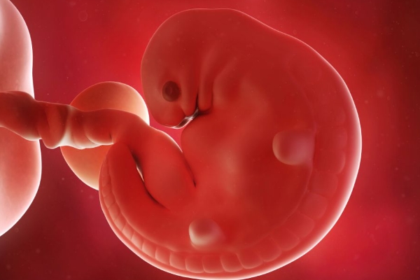 胎儿的听力什么时候开端发育 胎儿听力和视力的发育进程一览