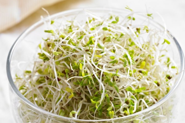 喝什么蔬菜汤下奶最快最多 最厉害的催奶蔬菜汤食谱引荐