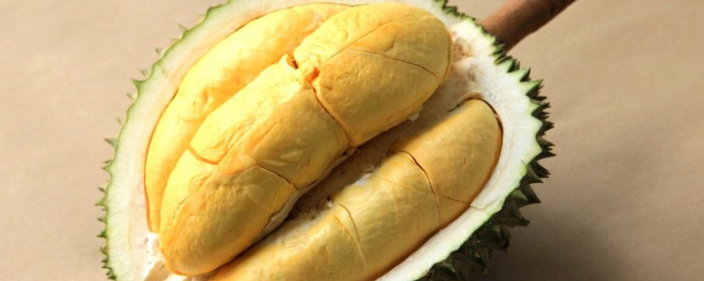 B太揭秘100元3个榴莲内情！生果之王榴莲的成效与效果有哪些