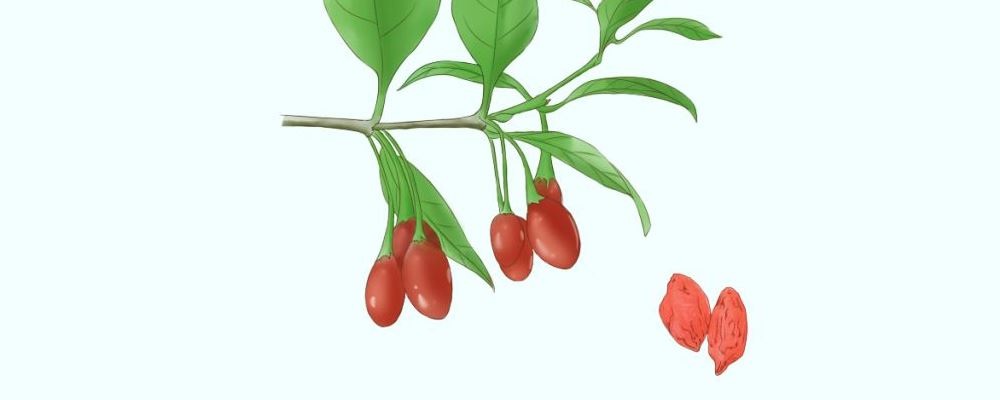 解密男性健康危险：肾气缺乏的症状与调度办法