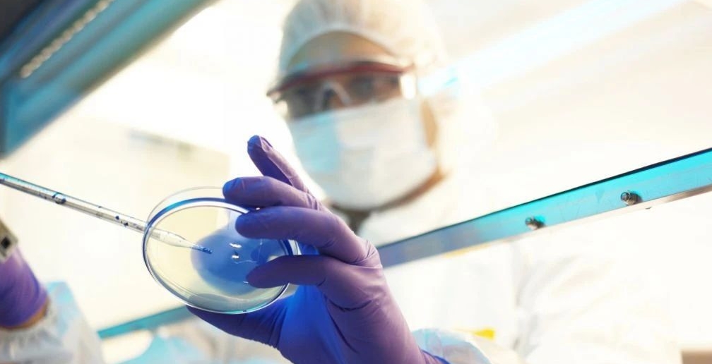 日本“食人菌”感患病例超1100例