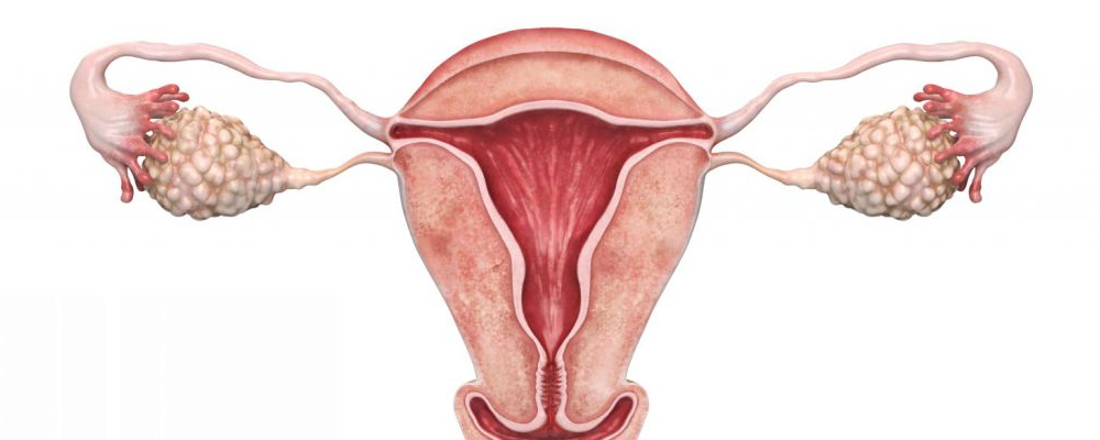 宫颈为何爱患病？女生应该了解的6个维护宫颈的常识！