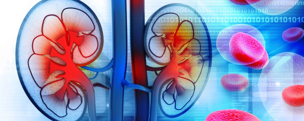 男人补肾的办法你知道多少？谨记这六个要害诀窍！