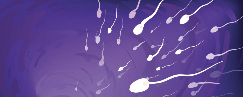 前列腺液和精液傻傻分不清楚！前列腺液与精液是什么联系？