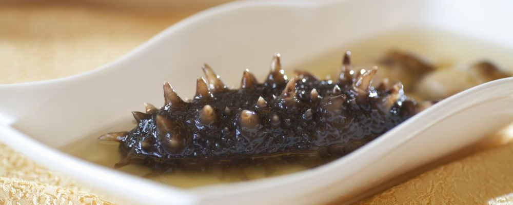 海参不能随意吃，尤其是这8类人更需引起注重！