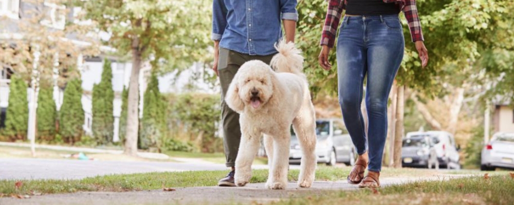 早上慢跑30分钟和晚上漫步60分钟，哪个更健康？本相竟然是……