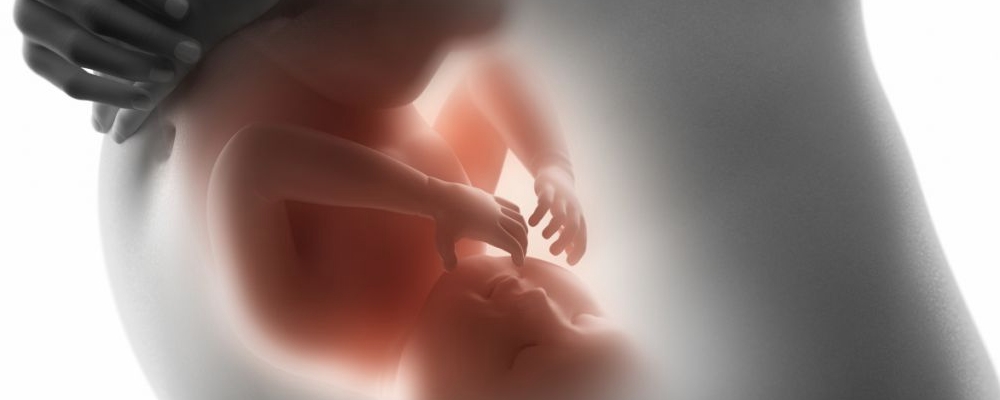 云南试管婴儿的全过程