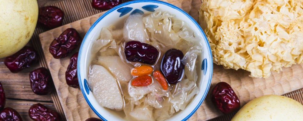 宠物猫容易得什么病