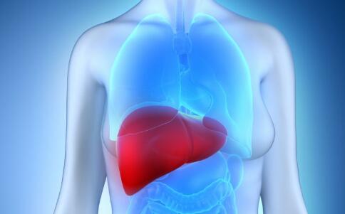 6大饮食好办法改进肝功用