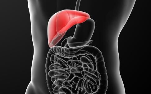 肝癌晚期吃什么好&ldquo; 三豆&rdquo;有助缓解肝病痛