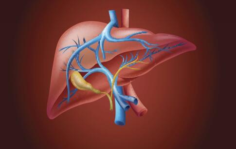 常吃4食物远离脂肪肝