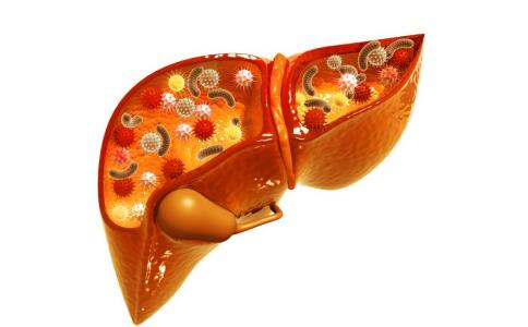 肝病患者不宜嗑瓜子