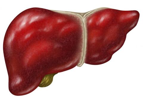 防备肝癌饮食注意事项