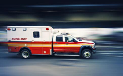 留意11莳花或许导致中毒