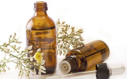 芦荟能够美容吗 芦荟美白祛斑的成效