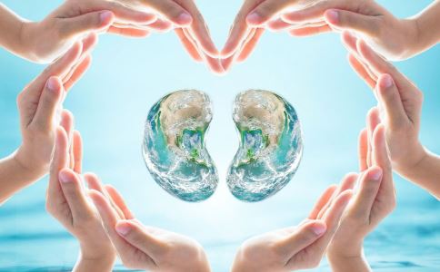 肾结石患者能够补钙好吗