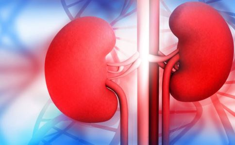 平常吃哪些食物可补肾