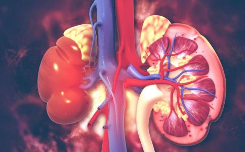 维护肾脏平常多吃六种食物