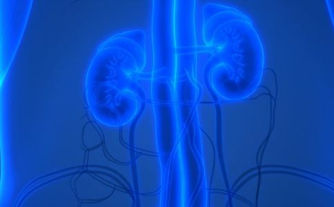 哪种水泡枸杞最补肾