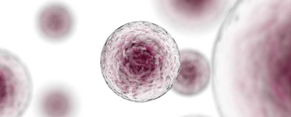 常喝豆浆真会致癌吗