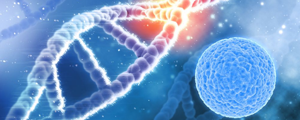 防癌吃什么好 防癌八食物