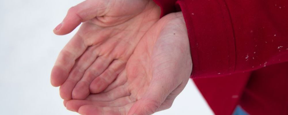 大雪节气 吃白菜护肤吃大葱通阳