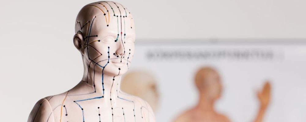 十二经脉有哪些 有什么效果