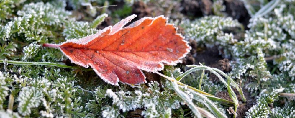 盘点立冬各地的风俗