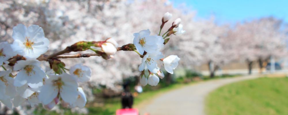小满摄生多吃六种生果