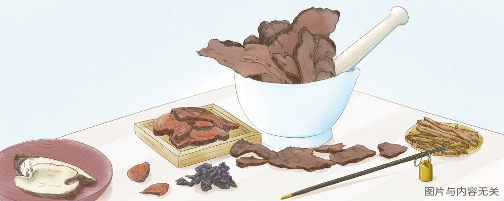 变叶美登木的成效与效果